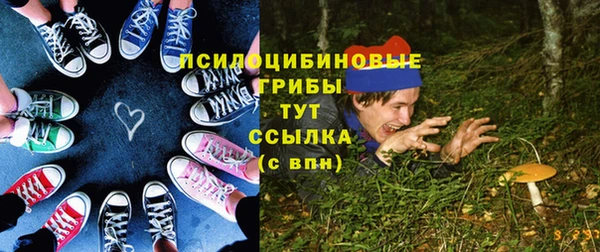 твердый Михайловск