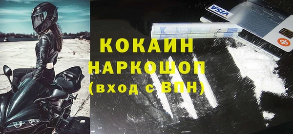 ешки Бердск