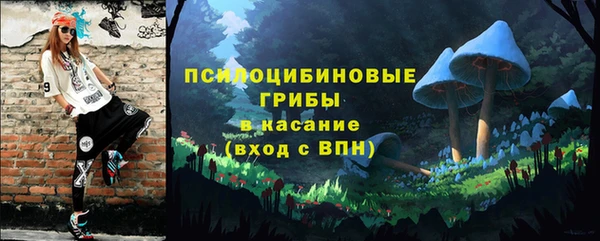твердый Михайловск
